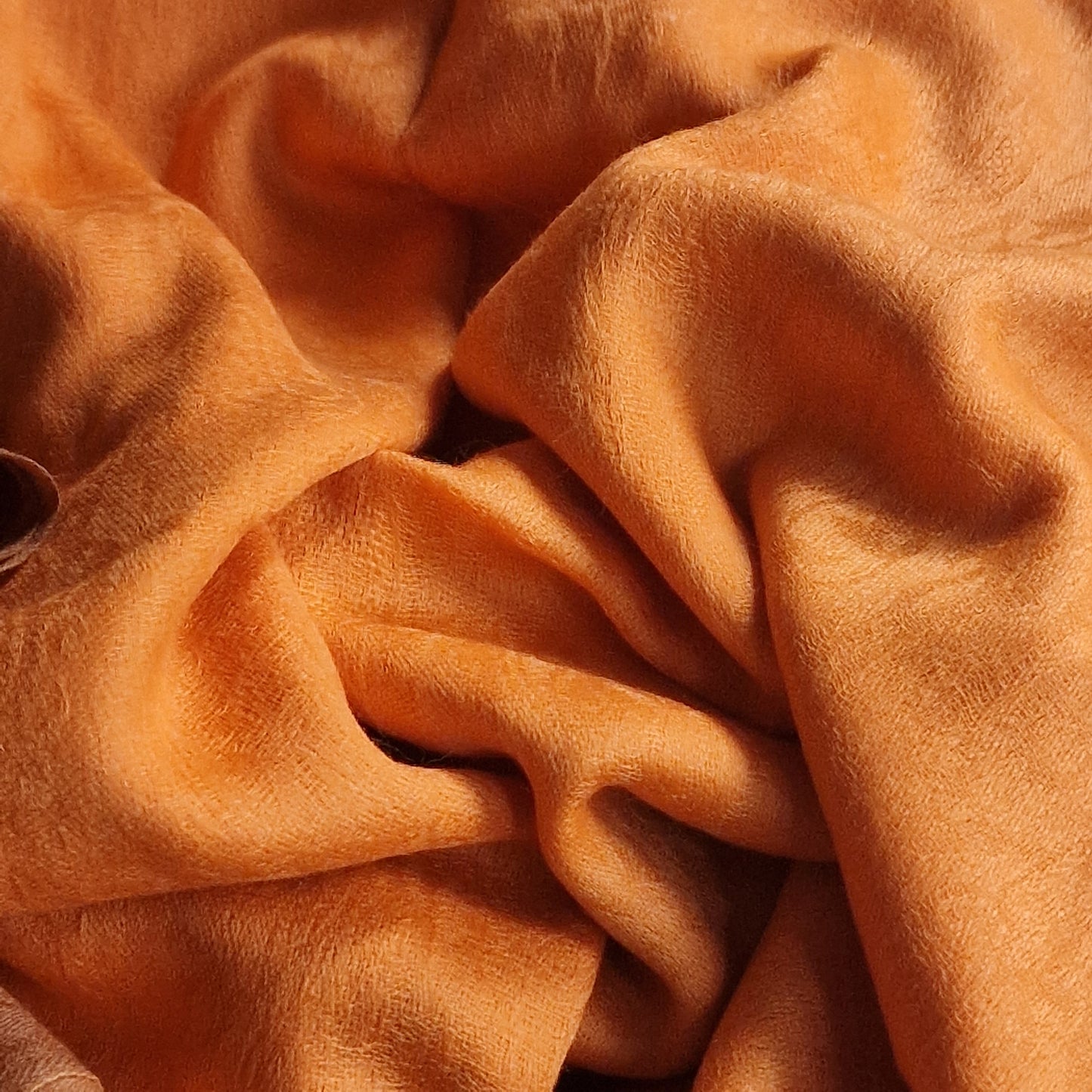 Get Wrapped in Luxury: Pashmina Stole for Women - Tangerine